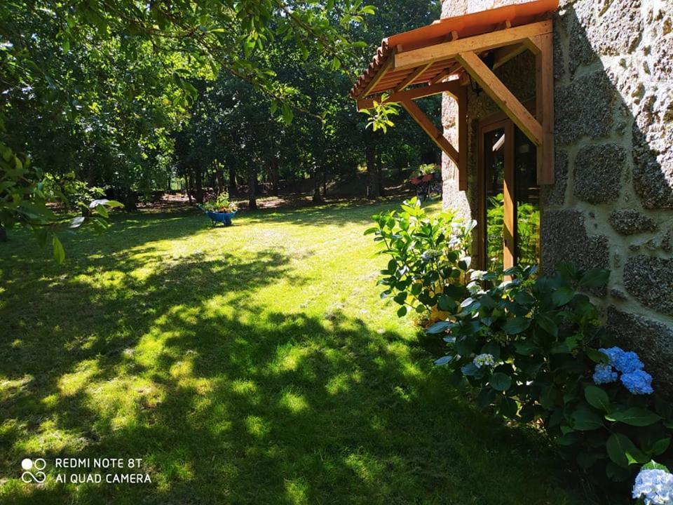 Casas Vale Martinho Bed & Breakfast Santa Comba Dao Bagian luar foto