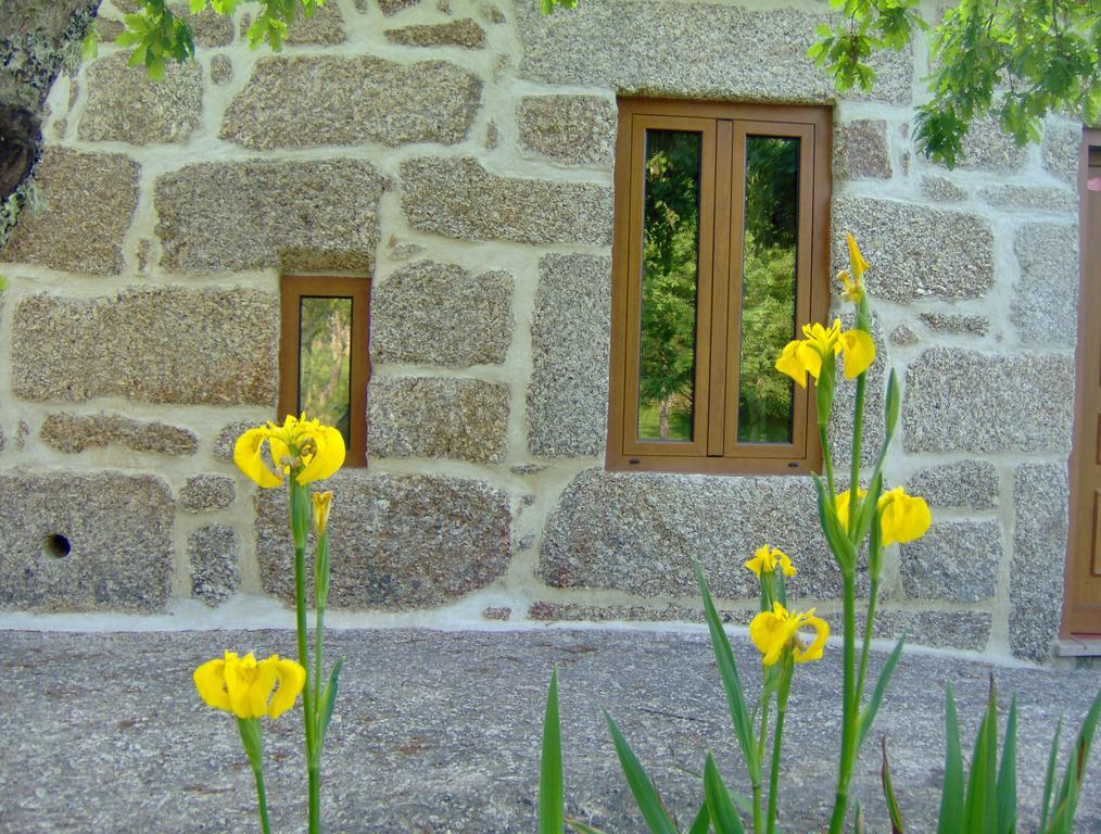 Casas Vale Martinho Bed & Breakfast Santa Comba Dao Bagian luar foto