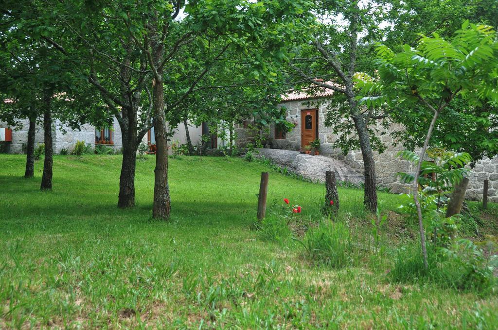 Casas Vale Martinho Bed & Breakfast Santa Comba Dao Bagian luar foto